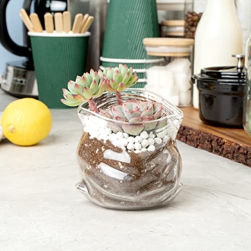Charming 8 Ounce Glass Candy Bowl for Unique Decor