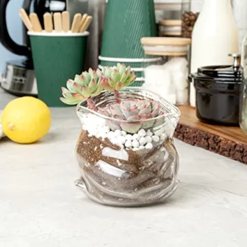 Charming 8 Ounce Glass Candy Bowl for Unique Decor