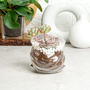 Charming 8 Ounce Glass Candy Bowl for Unique Decor