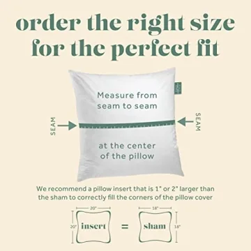Premium 26x26 Decorative Pillow Insert Made in USA