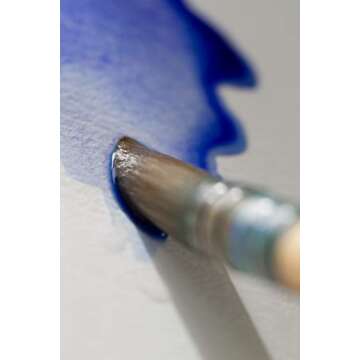 Pebeo Colorex, Watercolor Ink, 10 Assorted 45 ml Bottles