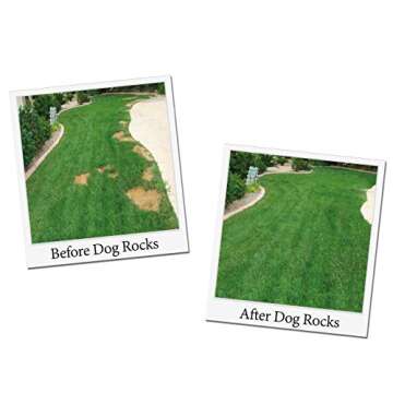 Dog Rocks Dog Pee Grass Neutralizer for Green Grass in 3-5 Weeks | Dog Grass Saver Rock | 100% Natur...