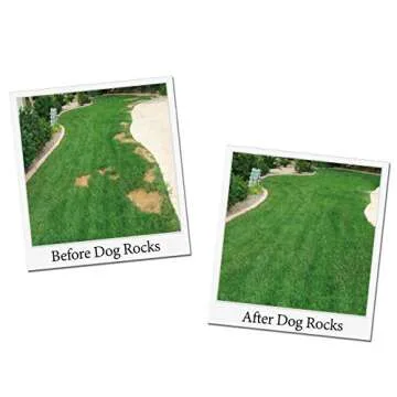 Dog Rocks Dog Pee Grass Neutralizer for Green Grass in 3-5 Weeks | Dog Grass Saver Rock | 100% Natur...