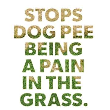Dog Rocks Dog Pee Grass Neutralizer for Green Grass in 3-5 Weeks | Dog Grass Saver Rock | 100% Natural Urine Neutralizer for Lawn | 200 grams