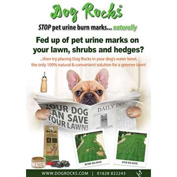 Dog Rocks Dog Pee Grass Neutralizer for Green Grass in 3-5 Weeks | Dog Grass Saver Rock | 100% Natural Urine Neutralizer for Lawn | 200 grams