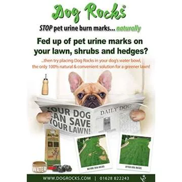 Dog Rocks Dog Pee Grass Neutralizer for Green Grass in 3-5 Weeks | Dog Grass Saver Rock | 100% Natural Urine Neutralizer for Lawn | 200 grams