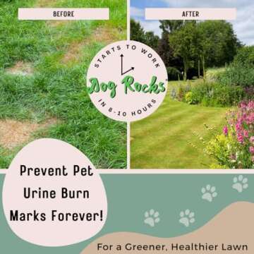 Dog Rocks Dog Pee Grass Neutralizer for Green Grass in 3-5 Weeks | Dog Grass Saver Rock | 100% Natural Urine Neutralizer for Lawn | 200 grams