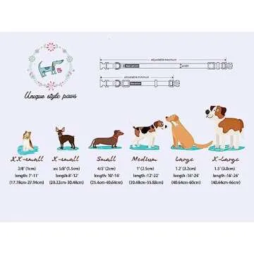 Unique Style Paws Dog Collar for All Dogs