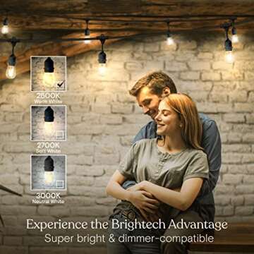 Brightech Ambience Pro - Waterproof LED Outdoor String Lights - 7 Hanging, Dimmable 2W Vintage Edison Bulbs - 24 Ft Commercial Grade Patio Lights Create Cafe Ambience in Your Backyard