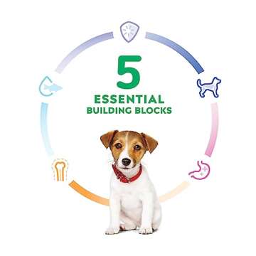 Hill's Science Diet Puppy, Puppy Premium Nutrition, Small Kibble, Dry Dog Food, Chicken & Brown Rice, 4.5 lb Bag