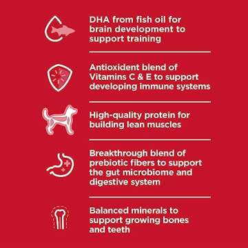 Hill's Science Diet Puppy, Puppy Premium Nutrition, Small Kibble, Dry Dog Food, Chicken & Brown Rice, 4.5 lb Bag