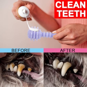 CGBD 6 Pack Dog Chew Toys for Puppy Dental Care