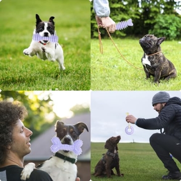 CGBD 6 Pack Dog Chew Toys for Puppy Dental Care