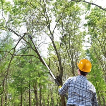 Scalebelly 7-25 FT Telescoping Pole Saw for Easy Tree Trimming