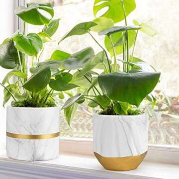 homenote White Ceramic Flower Pot Garden Planters 6/4.8 inch Pack 2 Indoor, Plant Containers with Marble Texture and Gold Detailing