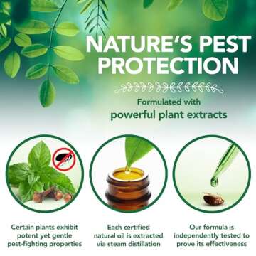 Vet's Best Flea and Tick Home Spray for Cats | Flea Treatment for Cats and Home | Plant-Based Formula | 96 Ounces Refill