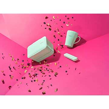 TAKENAKA Bento Bite Dual from, Eco-Friendly and Sustainable Japanese Style Bento Lunch Box (Peppermint)