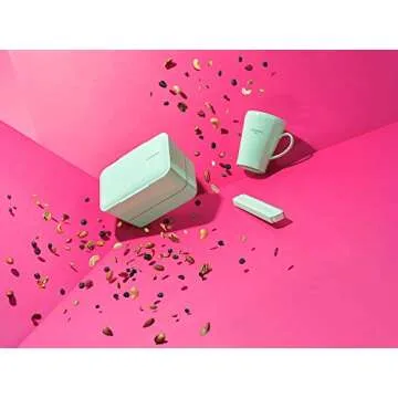 TAKENAKA Bento Bite Dual from, Eco-Friendly and Sustainable Japanese Style Bento Lunch Box (Peppermint)