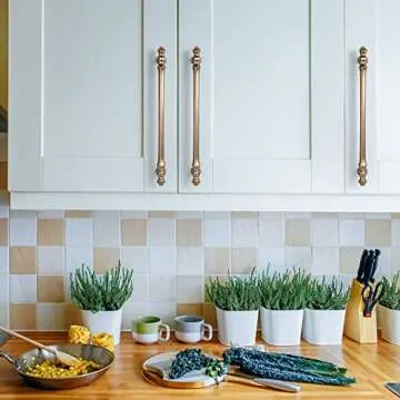 Asidrama 6 Pack 10 Inch(254mm) Brushed Brass Kitchen Cabinet Handles, Cabinet Pulls Kitchen Cabinet Hardware for Cupboard Drawer Pulls