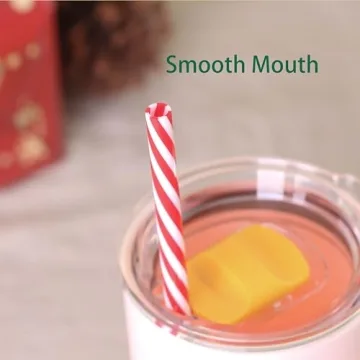 Dakoufish 12 Reusable Drinking Straws BPA Free for Mason Jars