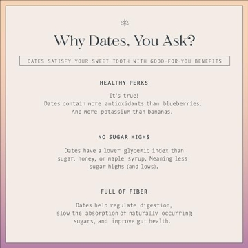 Date-Sweetened Chocolate Variety Pack | No Added Sugar | Healthy Indulgence