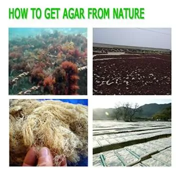 Agar Powder 100g(3.53oz) Vegetable Gelatin Dietary Fiber