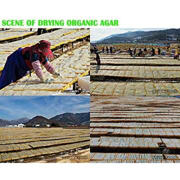 Agar Powder 100g(3.53oz) Vegetable Gelatin Dietary Fiber