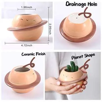 Succulent Pots Set of 4 Cute Ceramic Planters for Small Plants