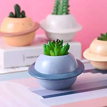 Succulent Pots Set of 4 Cute Ceramic Planters for Small Plants