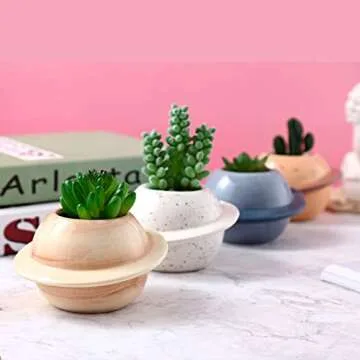 Succulent Pots Set of 4 Cute Ceramic Planters for Small Plants