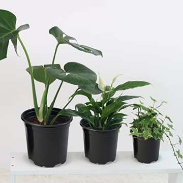 RAOOKIF 100 Pack Nursery Pots for Plants - Versatile and Durable