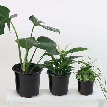 RAOOKIF 100 Pack Nursery Pots for Plants - Versatile and Durable