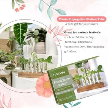 KAXYEW Plant Terrarium with Wooden Stand, Plant Propagation Tubes, 7 Test Tubes Glass Planter for Hydroponic Plant Cuttings Home Office Décor