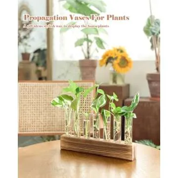 KAXYEW Plant Terrarium with Wooden Stand, Plant Propagation Tubes, 7 Test Tubes Glass Planter for Hydroponic Plant Cuttings Home Office Décor