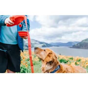 Generic Clabian Dog Leash | Pet Leash with Poop Bags Dispenser | Heavy Duty Leash | Water Container with Retractable Bowl, Medium, Red