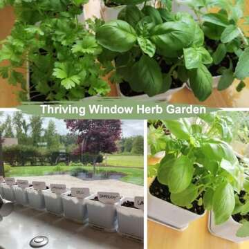 Herb Garden Kit Indoor Starter Kit for Fresh Home Grown Herbs