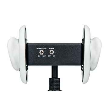 3Dio FS Binaural Microphone Immersive Audio Excellence