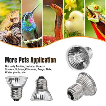 DTZY Reptile Heat Lamp Bulbs 4-pack (25W*2/50W*2), Amphibian Basking Light Bulb,Reptile Daylight Bulb, for Turtle,Bearded Dragon,Lizard,Works with Various Lamp Fixtures