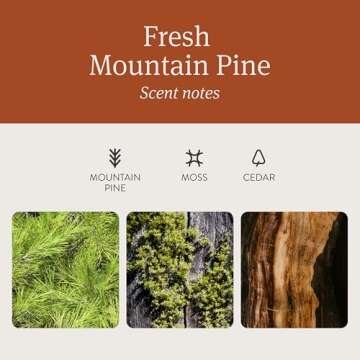 Wood Air Freshener Starter Kit- Pine