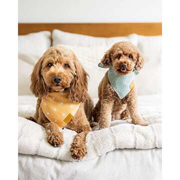 Remy+Roo Small Spring Dog Bandanas - 4 Pack Kathrine Set | Premium Durable Adjustable Polyester Fabr...