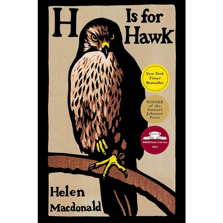 H Is for Hawk - Nature's Healing Journey