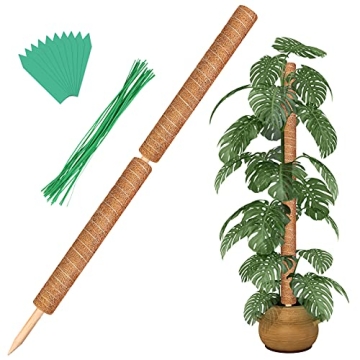 Augshy Moss Pole - Total Length 43 Inch 2Pcs 24 Inch Plant Support Stakes for Monstera and Climbing ...