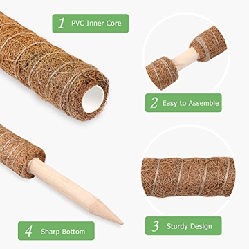 Augshy 43 Inch Moss Pole - Perfect for Indoor Climbing Plants