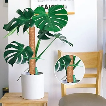 Augshy 43 Inch Moss Pole - Perfect for Indoor Climbing Plants