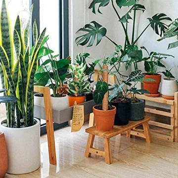 Augshy 43 Inch Moss Pole - Perfect for Indoor Climbing Plants