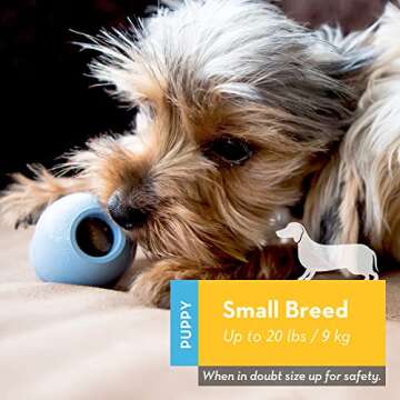 KONG Puppy - Natural Teething Rubber Chew Toy for Dogs - Stuffable Dog Toy for Extended Playtime - C...