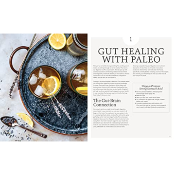 The Paleo Gut Healing Cookbook 75 Nourishing Recipes
