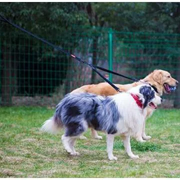 HIPIPET Double Dog Leash Reflective Dual Dog Leash Two Dog Leash 360° Swivel No Tangle Wider Soft Padded Handle Bungee Shock Absorbing for Medium Large Dog Pets