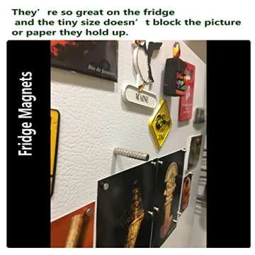 Deryun 60 Pack Mini Magnets for Crafts & Organizing