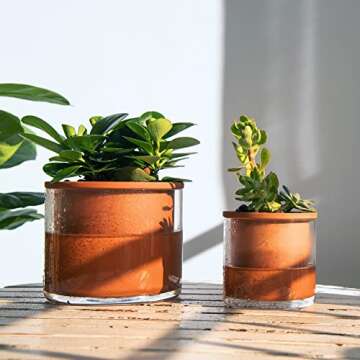 Phoenix Vine 4 Inch 6 Inch Self Watering Plants Pots, Design Terracotta Pots for Plants, Indoor Cyli...